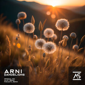 Dandelions (ALAT Remix)