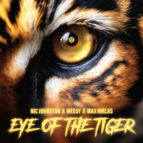 Eye Of The Tiger