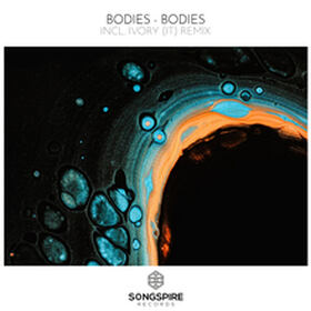 Bodies