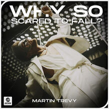 Why So Scared To Fall?