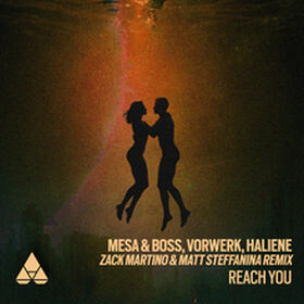 Reach You (Zack Martino & Matt Steffanina Remix)