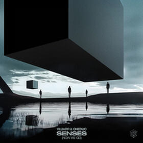 Senses (Now We Go)