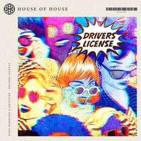 Drivers License