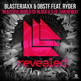 Beautiful World (D-Block & S-te-Fan Remix)