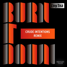 Burn In Down (Crude Intentions Remix)