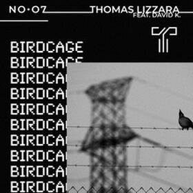 Birdcage